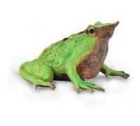 Figurine Préhistoire : Grenouille de Darwin Figurines Collecta G