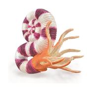 Collecta Figurine préhistoire L : Pravitoceras