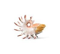 Collecta Figurine Préhistoire Cooperoceras XL