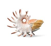 Figurine Préhistoire (XL) : Cooperoceras