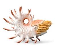 Collecta Figurine Préhistoire Cooperoceras XL