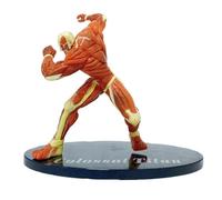 Figurine Reiner Braun, Muscles De Combat dans Tout Le Corps Figurines D'anime Reiner Braun 17 Cm/6,7 Pouces Modèle Fait Main Statue Décoration Cadeau