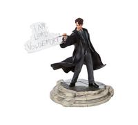 Figure Harry Potter Tom Riddle