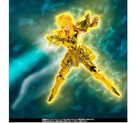 Figurine Saint Seiya - Aquarius Hyoga Inheritor of the Gold Cloth Myth Cloth EX