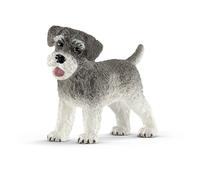 Schnauzer Nain