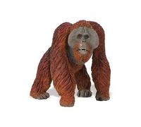 Figurine Singe Orang-Outan de Bornéo - SAFARI - Modèle en plastique - Pour enfants de 3 à 9 ans