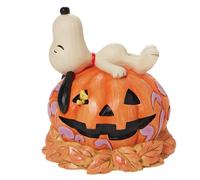 Figurine Snoopy d'Halloween allong e sur une citrouille sculpt e, collection Enesco Peanuts de Jim Shore, multicolore, 14 cm