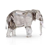Elegance of Africa SCS Édition Annuelle 2022 Éléphant Fayola