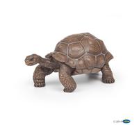 Figurine Tortue des galapagos Papo