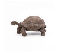 LA VIE SAUVAGE Tortue des Galápagos