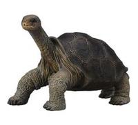 Figurine Tortue géante des Galapagos Figurines Collecta