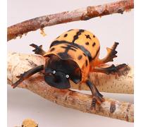 Figurines animales d'insectes de 17CM, figurines de simulation de libellule de scarabée de scorpion d'araignée de fourmi, décor éducatif de bureau de faune pour l'affichage et l'apprentissage