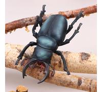 Figurines animales d'insectes de 17CM, figurines de simulation de libellule de scarabée de scorpion d'araignée de fourmi, décor éducatif de bureau de faune pour l'affichage et l'apprentissage