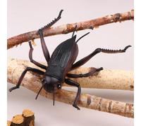 Figurines animales d'insectes de 17CM, figurines de simulation de libellule de scarabée de scorpion d'araignée de fourmi, décor éducatif de bureau de faune pour l'affichage et l'apprentissage