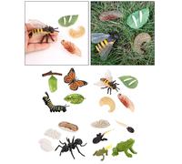 Figurines Animaux Réalistes, Cycle De Vie, Fourmis, Grenouille, Papillon Et Abeille, Jouet