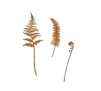 Figurines artificielles en forme de feuilles de fougère rouillées - Sculpture de plante idéale pour le printemps ou l'intérieur - Décoration de jardin en métal