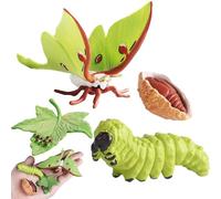 Figurines Cycle De Vie - Matériau PP Durable | Jouets Évolution Insecte | Kit Éducatif Phases De Croissance | Papillon Tortue Grenouille Maquette pour Enseignement des Sciences Naturelles