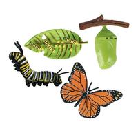 Figurines Cycle De Vie - Matériau PP Durable | Jouets Évolution Insecte | Kit Éducatif Phases De Croissance | Papillon Tortue Grenouille Maquette pour Enseignement des Sciences Naturelles