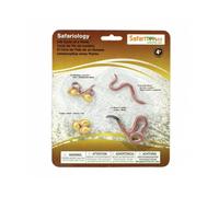 Safari Ltd. - figurines cycle de vie - ver de terre G
