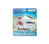 Safari Ltd Cycle de Vie d'un Saumon 43.9cm | Contient 5 Figurines de Poisson | Non-Toxique et sans BPA | Convient aux Enfants de 4 Ans et Plus