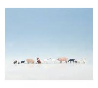 Figurines d'animaux H0 « à la ferme »