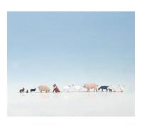 Figurines d'animaux H0 « à la ferme »