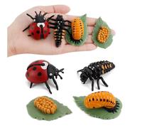 Figurines De Cycle De Croissance En Plastique, Jouet Éducatif Pour Enfants, Simulation D'animaux, Abeille, Coccinelle, Araignée, Cycle De Vie, Modèles D'action