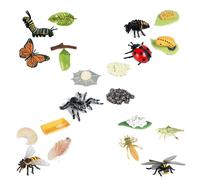 Figurines De Cycle De Vie De Papillon Araignée Abeille Libellule, Figurines D'insectes En Plastique Jouet, Projet Scolaire Pour Les Enfants
