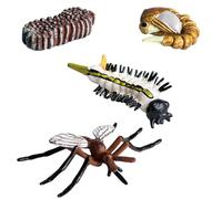 Figurines De Cycle De Vie - PP Luna Moth Papillon Tortue Grenouille, Modèles Réalistes Et Détaillés du Cycle De Croissance des Animaux, Peints À La Main sans Odeur | Jouet Cognitif pour