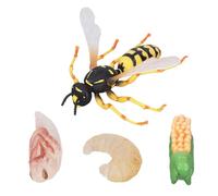 Figurines d'insectes en plastique, modèle de cycle de croissance des abeilles guêpes, jouets éducatifs réalistes pour les enfants de 3, 4, 5, 6, 7, 8 ans