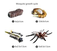 Figurines Du Cycle De Croissance Des Animaux, Grenouille, Fourmi, Papillon, Tortue De Mer, Modèle De Simulation, Matériel Pédagogique, Cadeau Pour Enfants