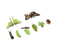 Figurines du Cycle de Vie, Animaux en PVC Réalistes | Représentation 3D détaillée, Idéal pour les outils pédagogiques, Conceptions artisanales, Parfait pour les coins