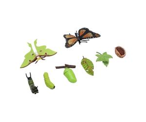 Figurines du Cycle de Vie, Animaux en PVC Réalistes | Représentation 3D détaillée, Idéal pour les outils pédagogiques, Conceptions artisanales, Parfait pour les coins