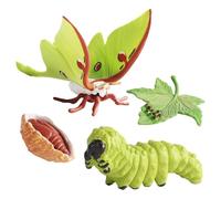 Figurines du Cycle de Vie - Cycle de Croissance des Insectes | Figurines d'insectes Cycles de Vie, Figurine Transparente pour, Comprend 6 Animaux, Un Jeu d'association éducatif et