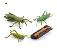 Figurines Du Cycle De Vie De 4 Pièces/Ensemble Insectes, Modèle D'Éveil Cognitif Précoce, Ornement Modèle D'Éveil Cognitif