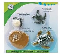 Figurines du cycle de vie de la tortue - Le Tortue