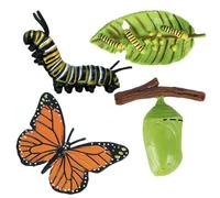 Figurines du cycle de vie des insectes | Figurines du cycle de vie des insectes et des animaux | Kit de jouets éducatifs avec papillon, papillon de nuit, grenouille, tortue et scènes de fourmis |
