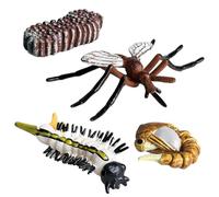 Figurines du cycle de vie des insectes | Figurines du cycle de vie des insectes et des animaux | Kit de jouets éducatifs avec papillon, papillon de nuit, grenouille, tortue et scènes de fourmis |