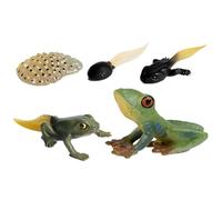 Figurines du cycle de vie des insectes | Figurines du cycle de vie des insectes et des animaux | Kit de jouets éducatifs avec papillon, papillon de nuit, grenouille, tortue et scènes de fourmis |
