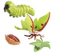Figurines du cycle de vie des insectes, Papillon de nuit, Jouets du cycle de vie des insectes,Kit de jouets figurines d'insectes grenouille, Papillon de nuit, Ensemble de figurines du cycle de vie san