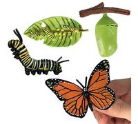 Figurines du cycle de vie des insectes, Papillon de nuit, Jouets du cycle de vie des insectes,Kit de jouets figurines d'insectes grenouille, Papillon de nuit, Ensemble de figurines du cycle de vie san