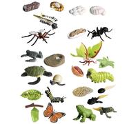 Figurines du cycle de vie - Figurines d'animaux réalistes | Papillon papillon tortue ouvrière grenouille, kit de jouets éducatifs en forme d'insectes en PP, ensemble ď'apprentissage interactif
