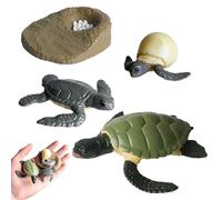 Figurines du Cycle De Vie - Figurines d'animaux Réalistes pour, Ensembles De 4 À 5 Pièces | Kit De Figurine D'insectes en PP, pour Améliorer Les Capacités Cognitives des, L'édu