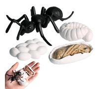 Figurines du Cycle De Vie - Figurines d'animaux Réalistes pour, Ensembles De 4 À 5 Pièces | Kit De Figurine D'insectes en PP, pour Améliorer Les Capacités Cognitives des, L'édu