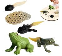 Figurines du Cycle De Vie - Figurines d'animaux Réalistes pour, Ensembles De 4 À 5 Pièces | Kit De Jouets Figurine D'insectes en PP, pour Améliorer Les Capacités Cognitives des, L'édu