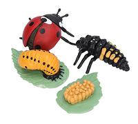 Figurines du Cycle de Vie, Matériau en Vinyle, Effet Réaliste, Cycle de Croissance des Soigneusement Sculptées pour la Fête, l'éducation des Enfants