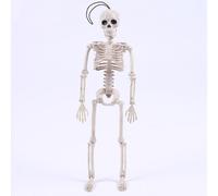 Figurines Humaines Squelette Cool, Modèle De Monsieur Mariée, Crâne, Jouet De Corps, Nouveauté D'Halloween, Gags, Farces Pratiques