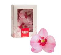 Dekora Rose Fleur Comestible Paquet de 10 orchidées pour Décoration de Gateau, Couleur, 126066