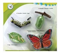 Safari Ltd. Cycle de vie d'une Papillon Monarque S622616