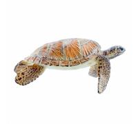 Figurines Tortue Décoration d'Intérieur Réaliste Éducative Amusante